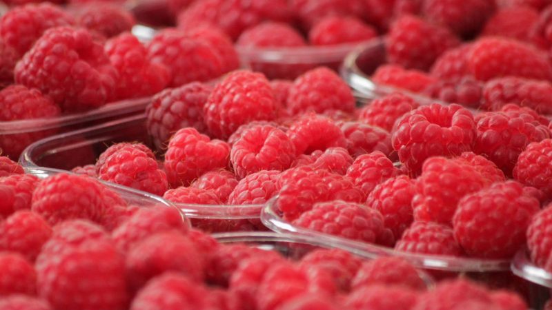 raspberry raspberries