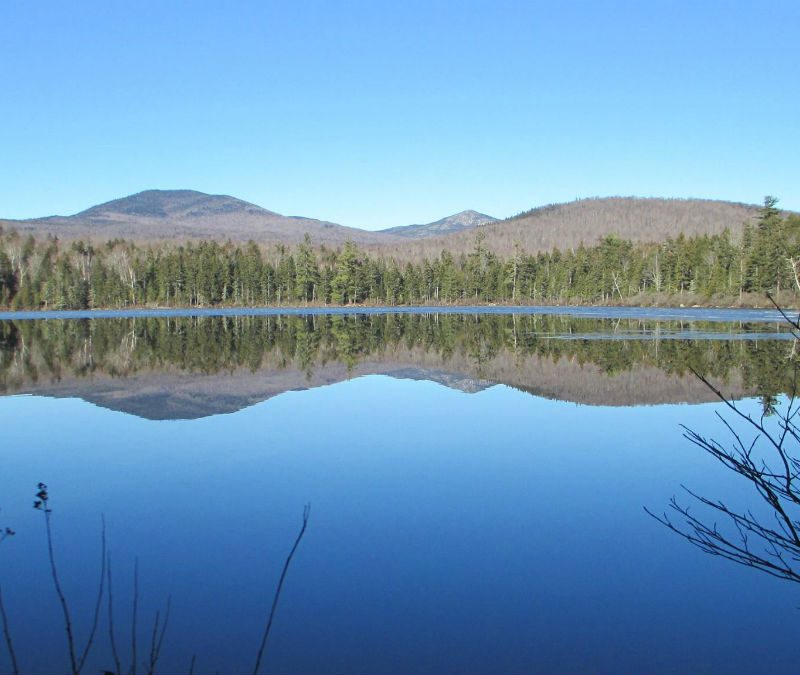 A still mountain lake surrounded by evergreen trees in New Hampshire's White Mountain National Forest.