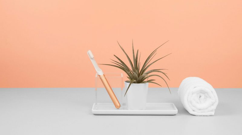 quip toothbrush
