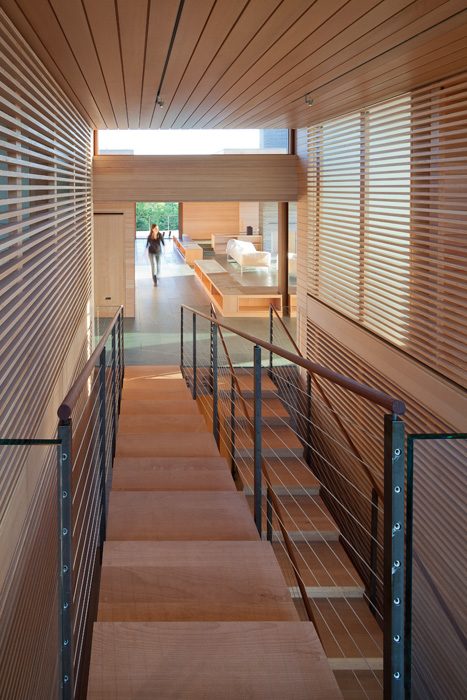 Island Residence