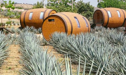 sleep in a giant tequila barrel at one of kind mexican distillery hotel matices de barricas exterior