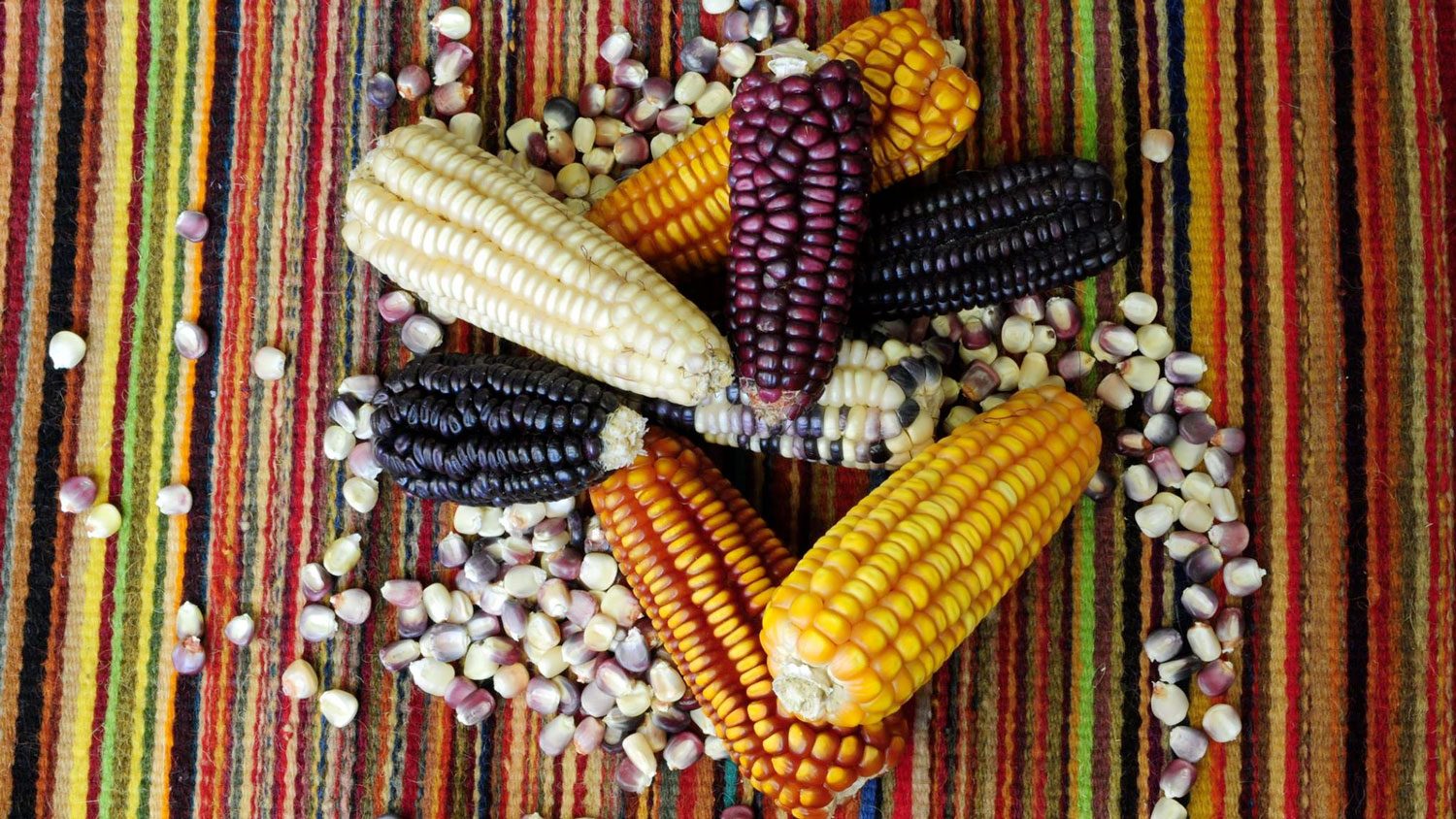 mexican corn