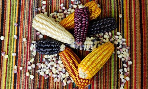 mexican corn