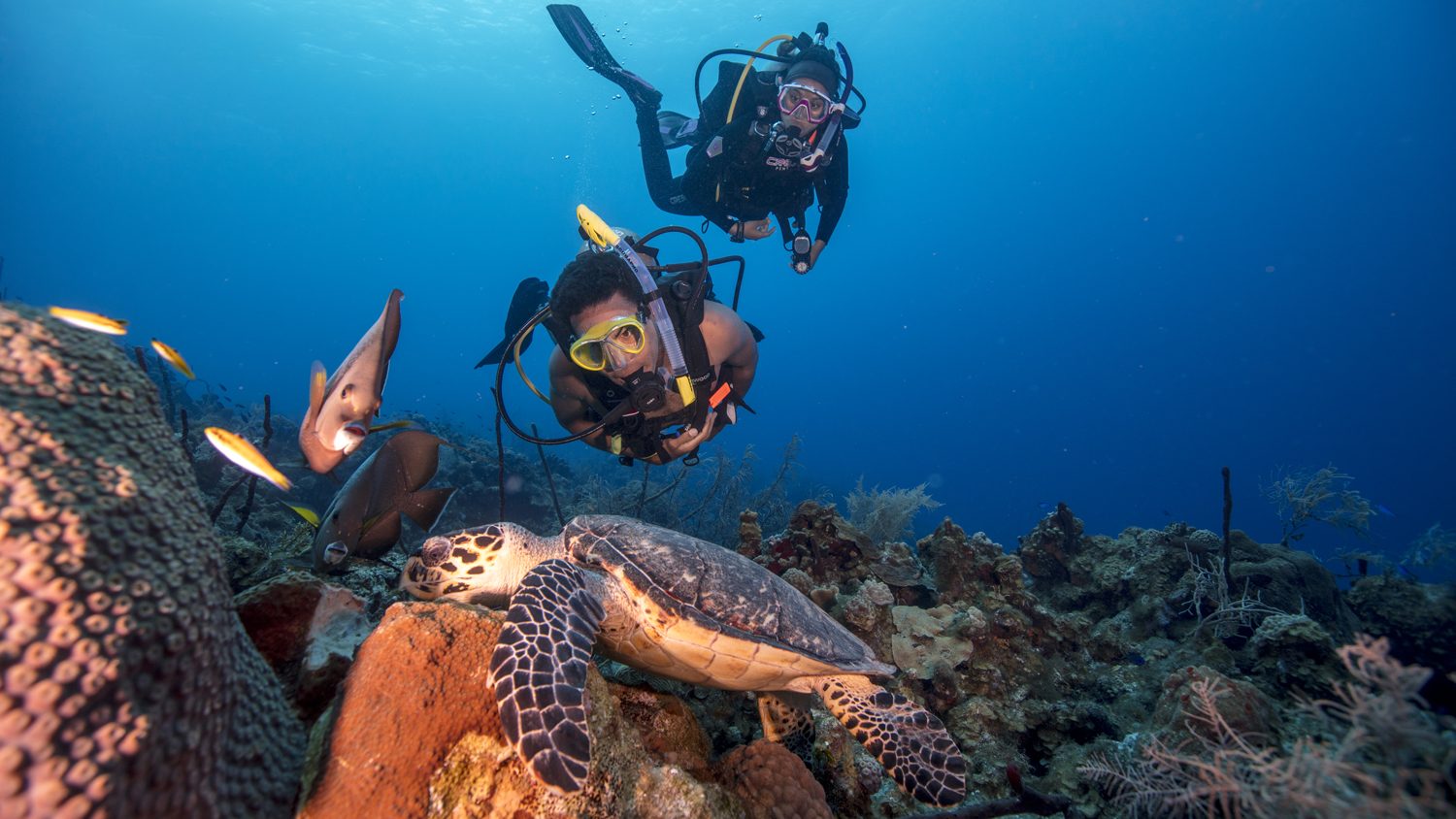 Grand Cayman Scubadiving