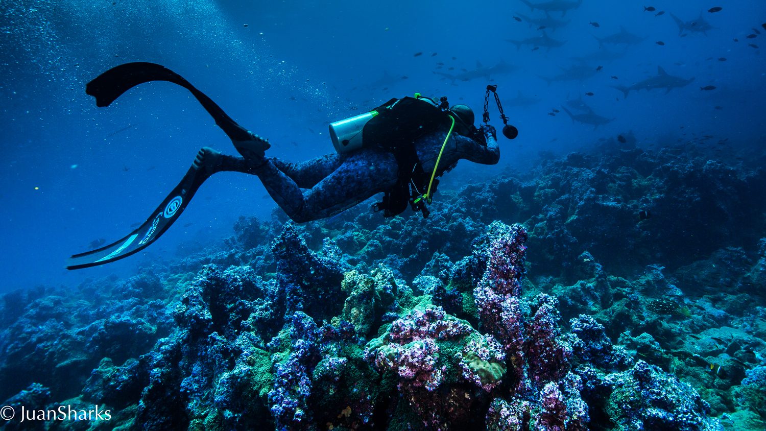 Galapagos Island Scubadiving