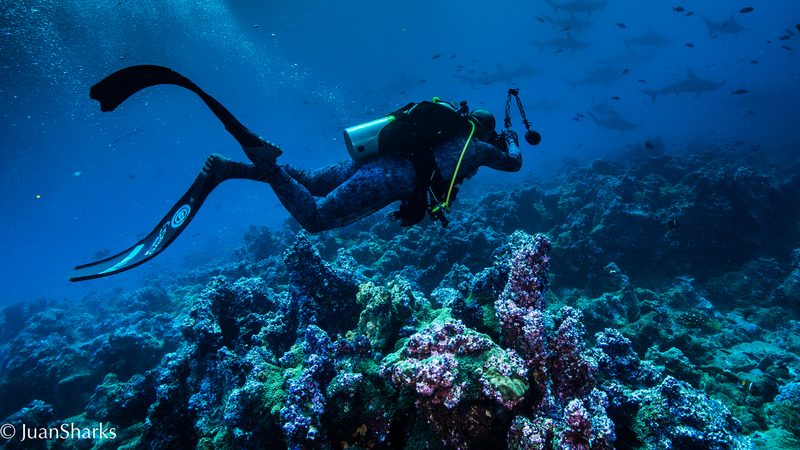 Galapagos Island Scubadiving