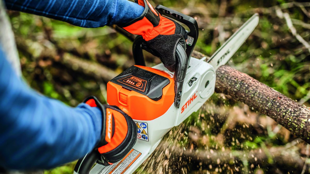 stihl chainsaw limbing 1