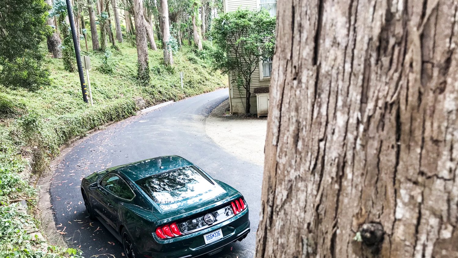 2019 Mustang Bullitt