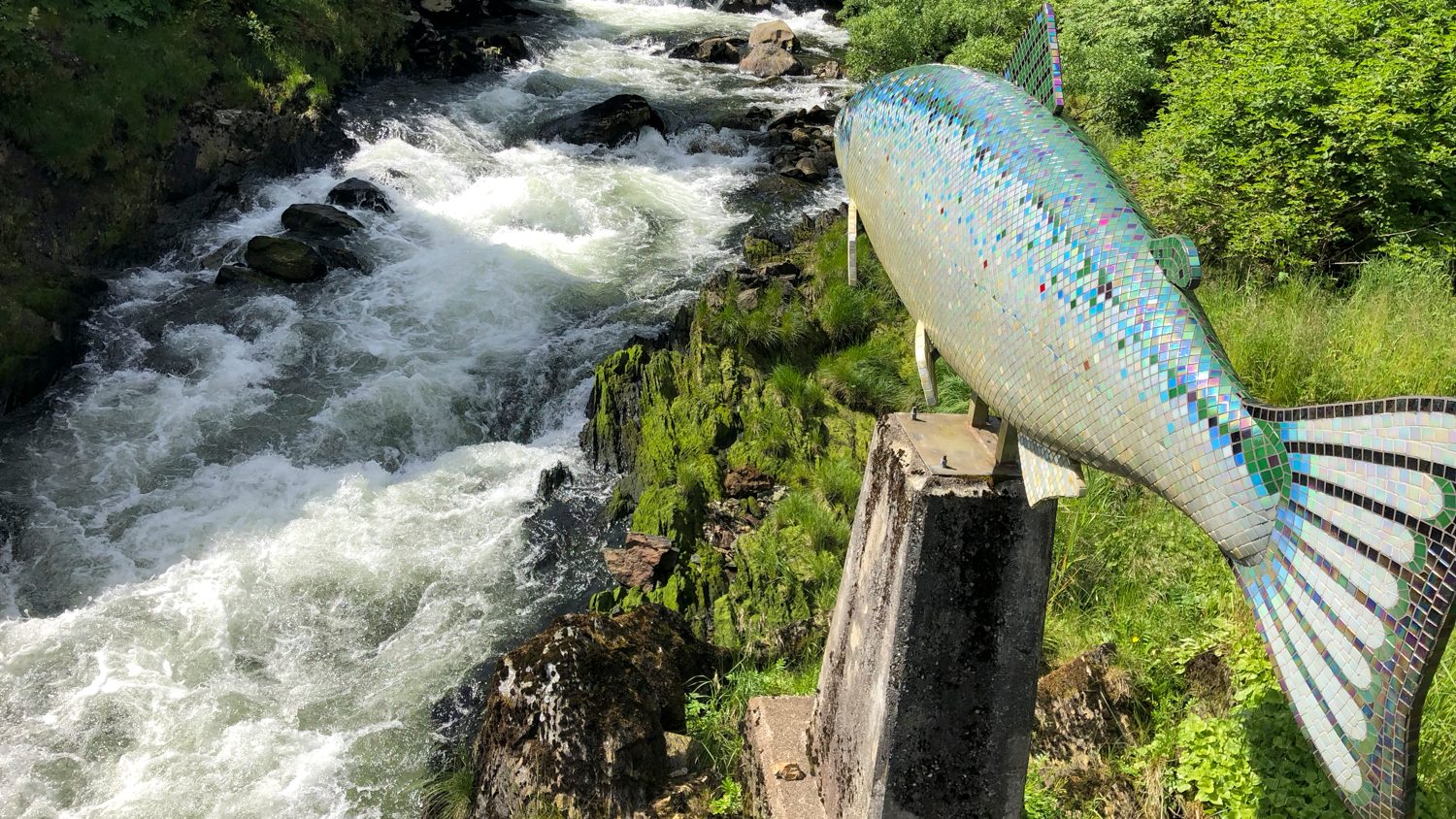 Alaska Waterfall Resort