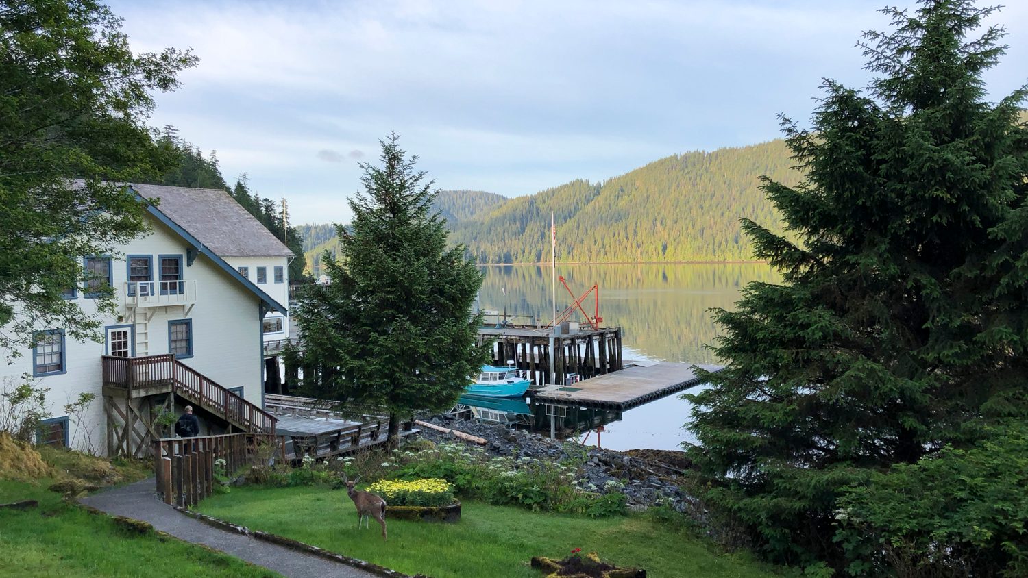 salmon fishing in alaska waterfall resort buildings 8