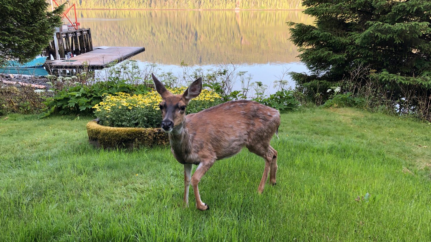 alaska trip