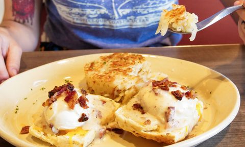 bacon blanket bisuit benny snooze
