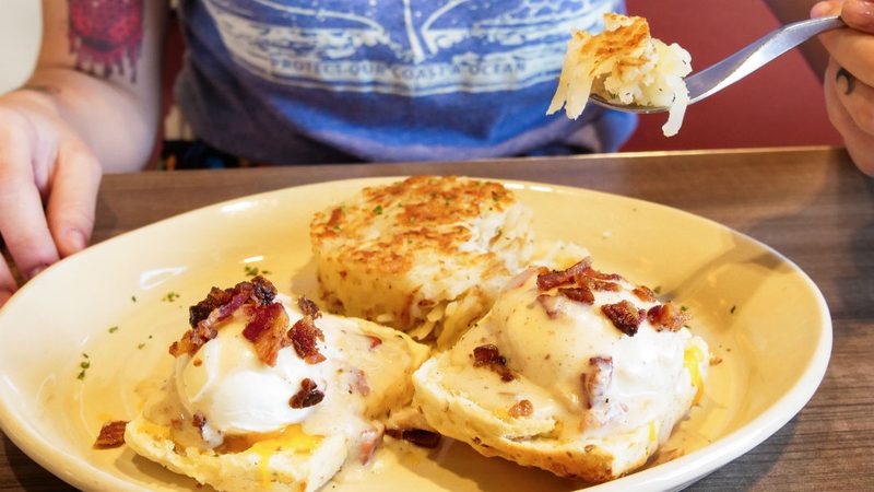 bacon blanket bisuit benny snooze