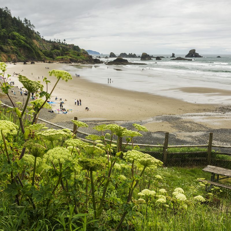 Long shot of beachgoers relaxing on Indian Beach in Ecola State Park, Oregon.