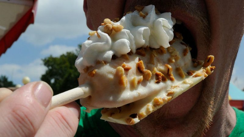 iowa state fair