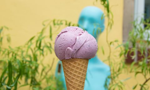 little baby's ice cream blackberry sage