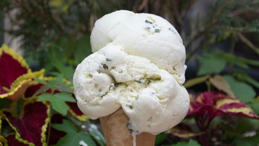 little baby's ice cream mint julep