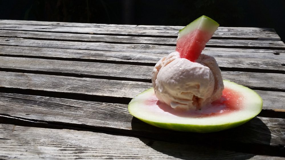 little baby's ice cream watermelon mojito