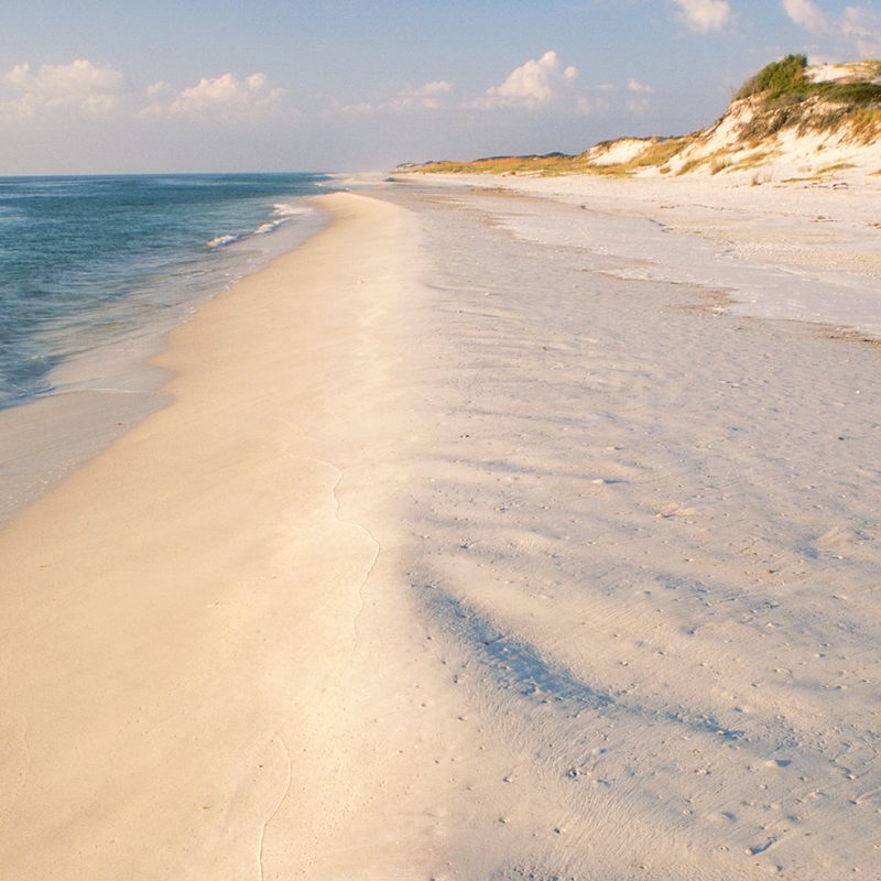 The soft sand beach at St. Joseph Peninsula State Park in the Florida panhandle.