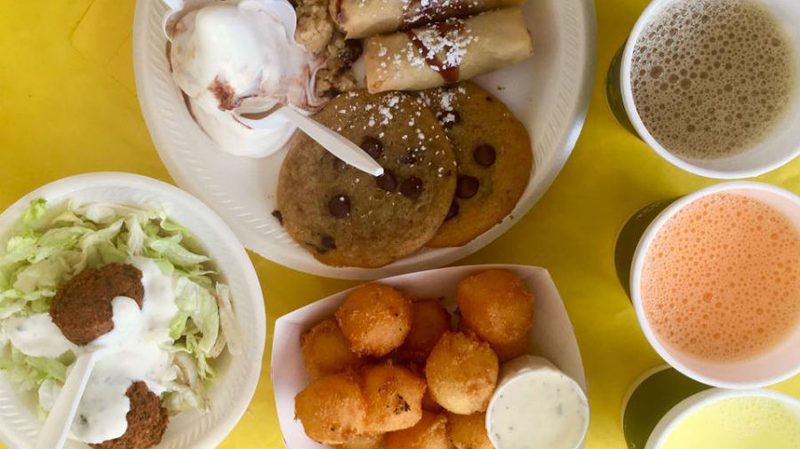 wisconsin state fair sampler