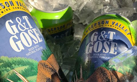 anderson valley brewing company g and t gose