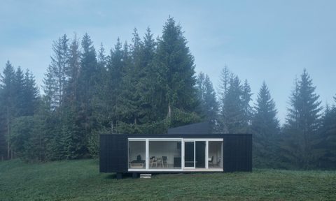 ark shelter into the wild tiny cabin 3