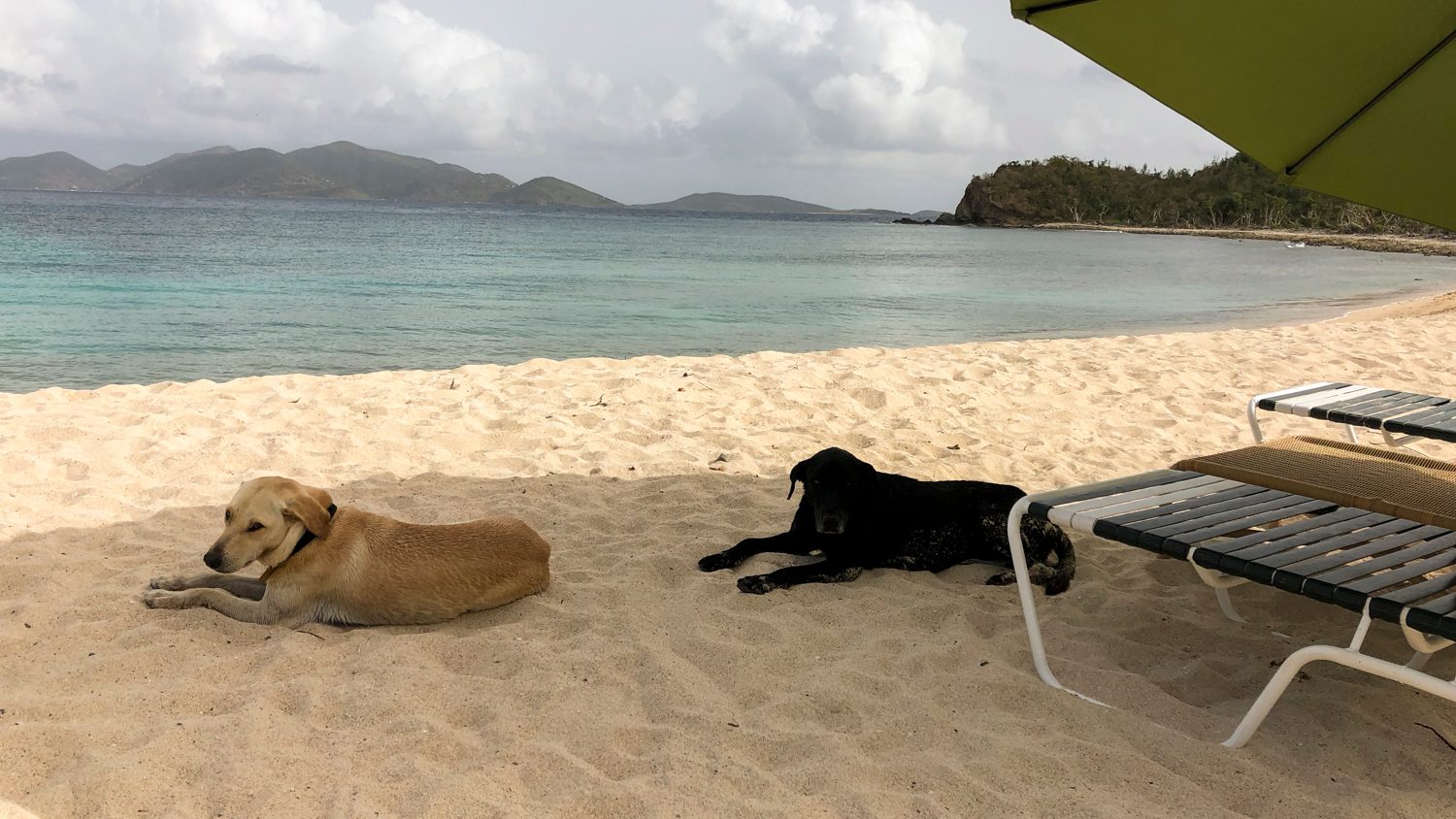 british virgin islands what to do where stay beaches at chase mcpeak 4