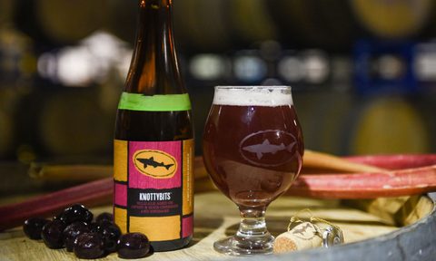 dogfish-head-knotty-bits-beer