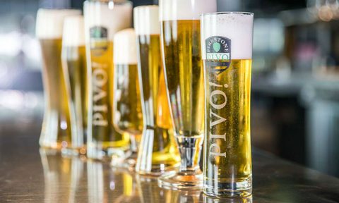 firestone pivo pils