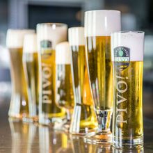 firestone pivo pils