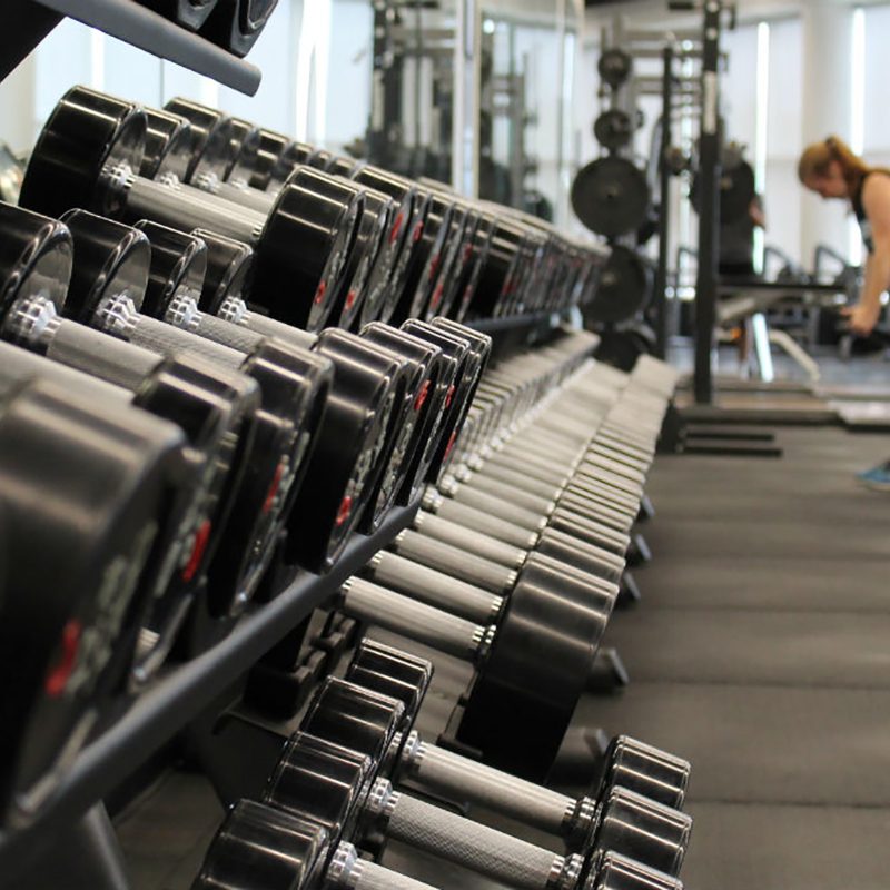 gym exercise workout dumbbell weights