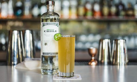 best american flavored vodka spirit awards 2018 st  george green chile feature image