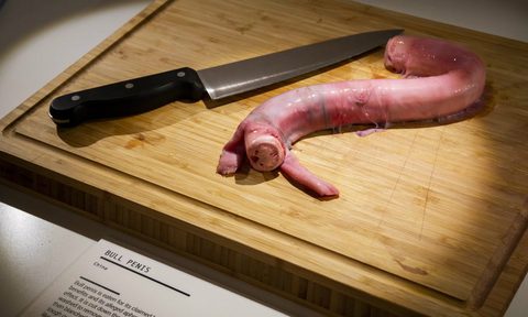 disgusting food museum malmo sweden set to open bull penish
