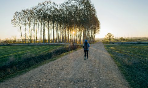 camino de santiago