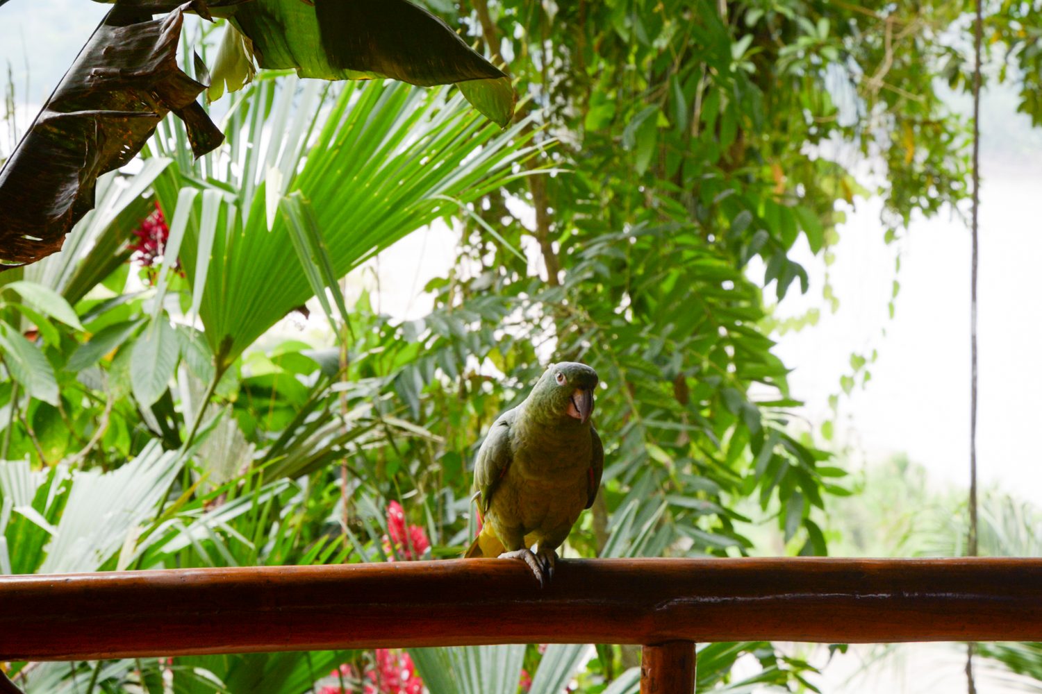 contiki tours me and we ecuador travel experience the minga lodge 13
