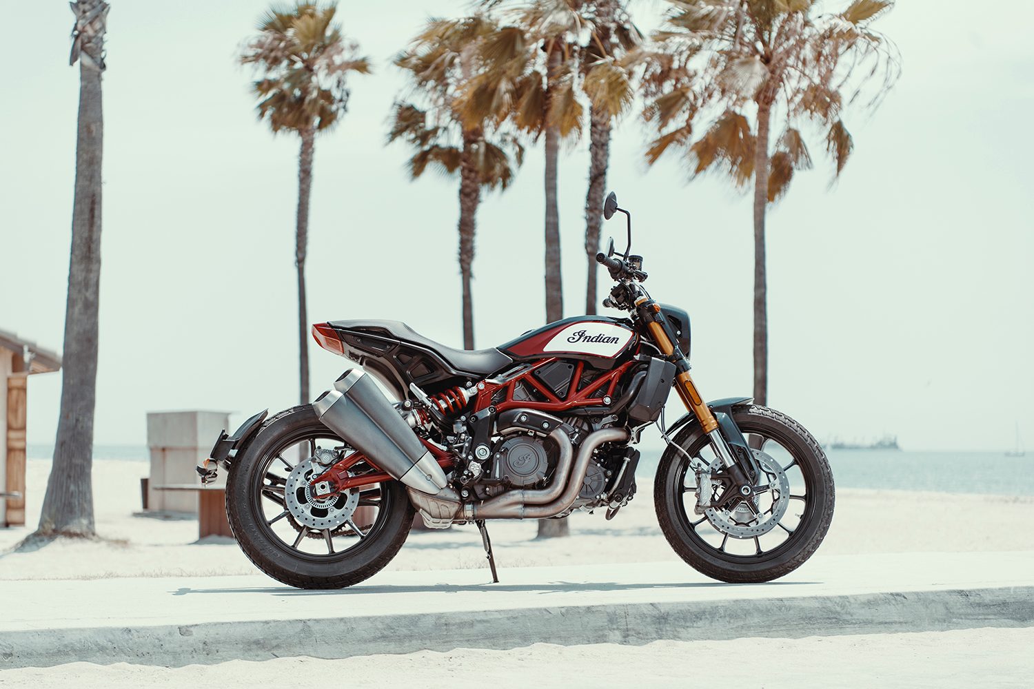 indian ftr 1200 1200s debut <entity>motorcycle</entity> 2019 04