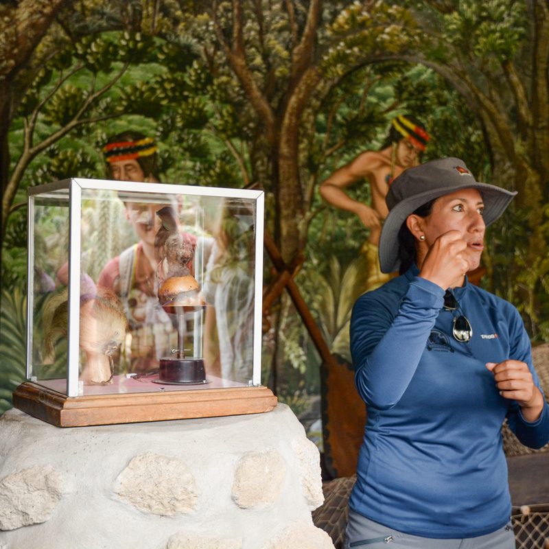 contiki tours me and we ecuador travel experience intin an solar museum the equator tour