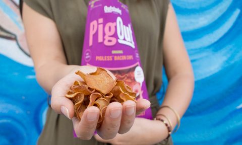bacon flavored mushroom chips pig out pigoutbaconchips