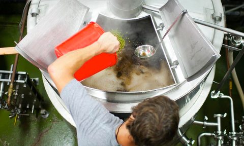 carrot beer home brew tips and tricks shorts brewing