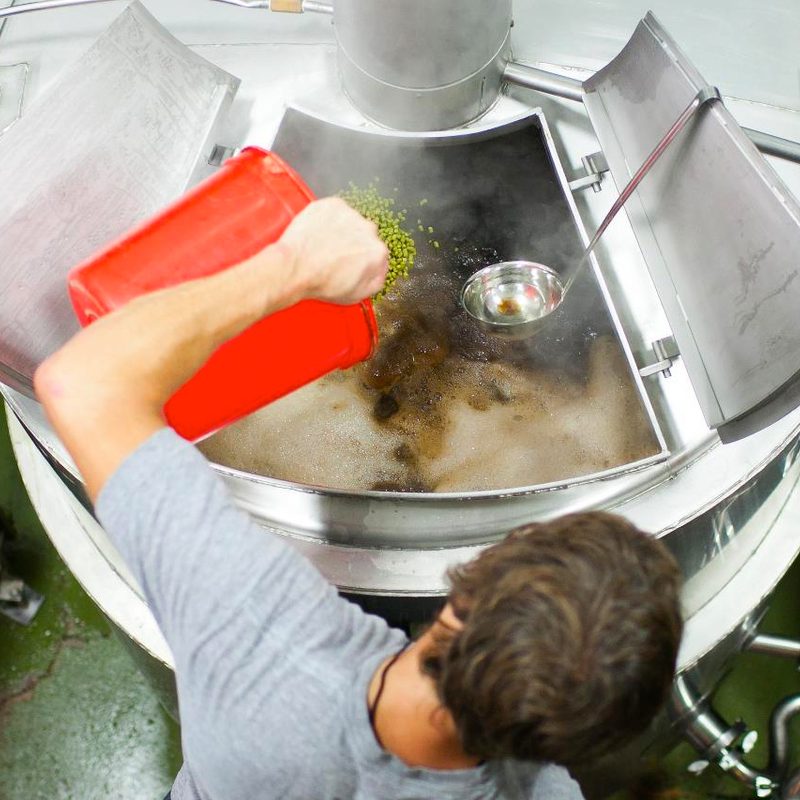 shorts brewing