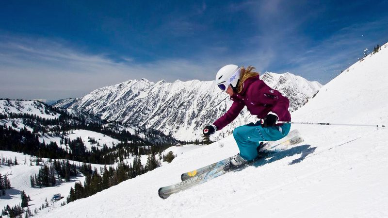 Ski Butler