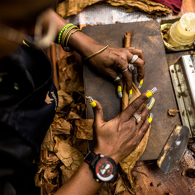 A worker makes Cohiba cigars