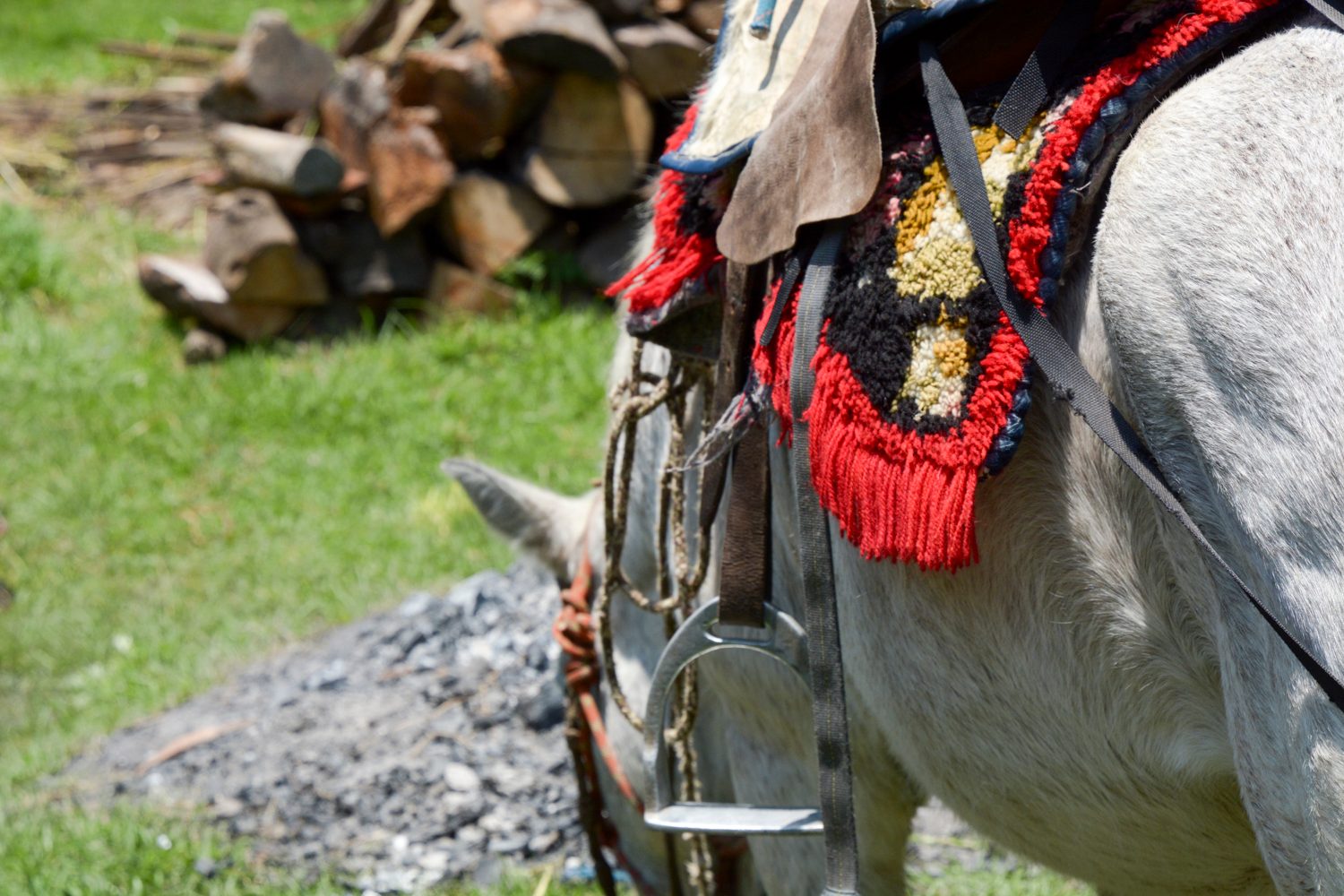 contiki tours me and we ecuador travel experience banos 4