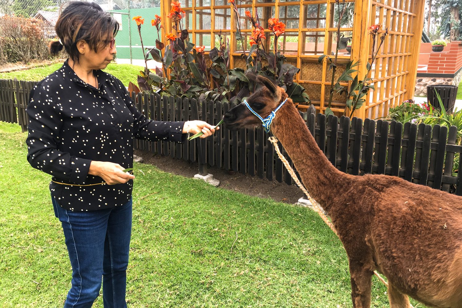 best things to do in ecuador quito otavalo banos places visit iphone pics 56