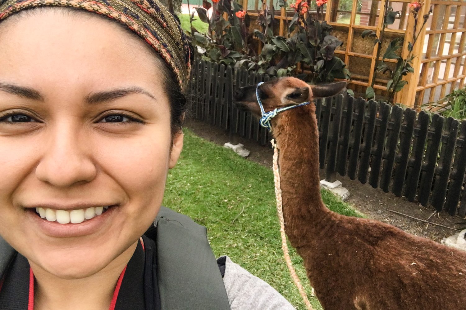 best things to do in ecuador quito otavalo banos places visit iphone pics 57