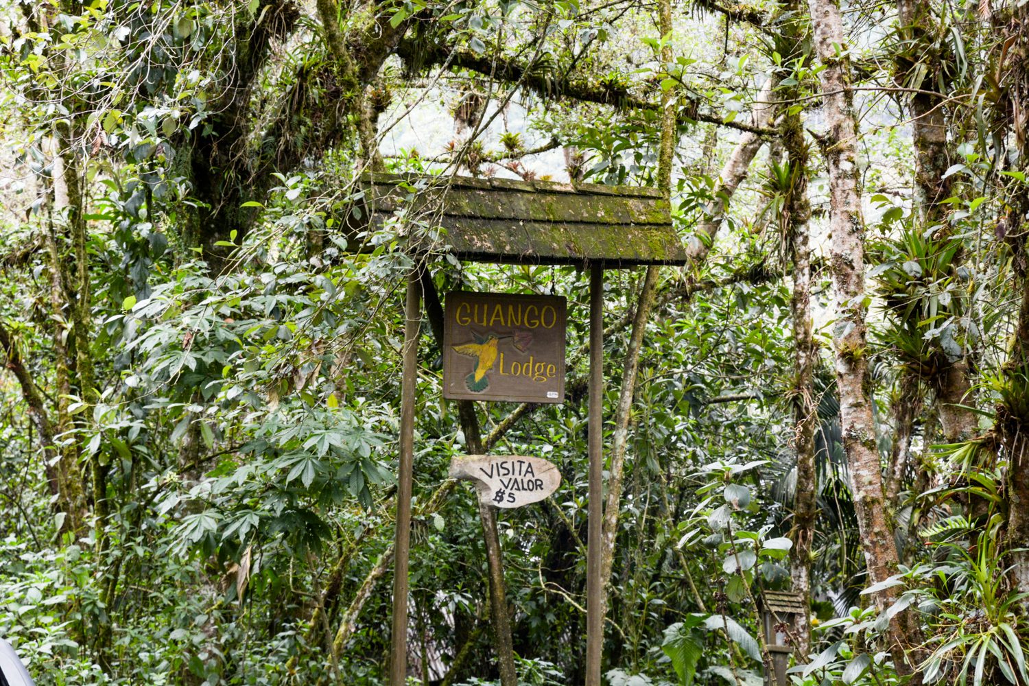 best things to do in ecuador quito otavalo banos places visit ecuador43