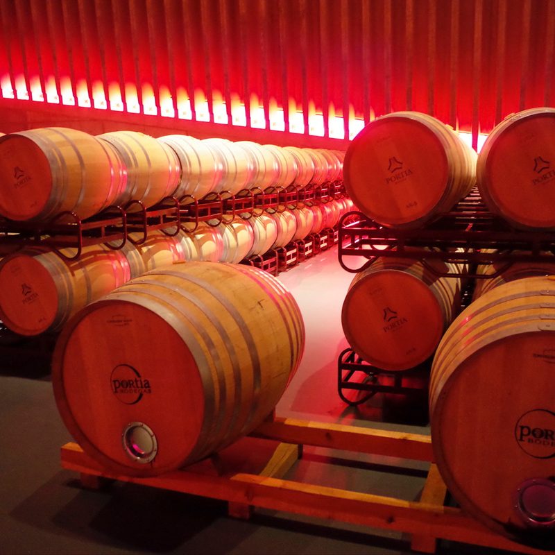 architecture of castilla leon spain bodegas portia 4 ag y leo  n