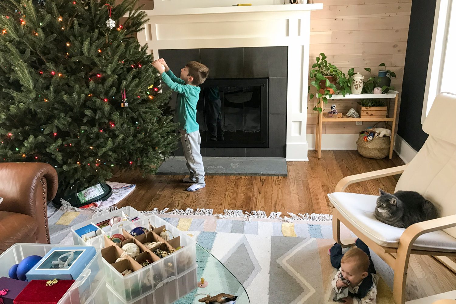 christmas tree hacks set up disposal steven john 9