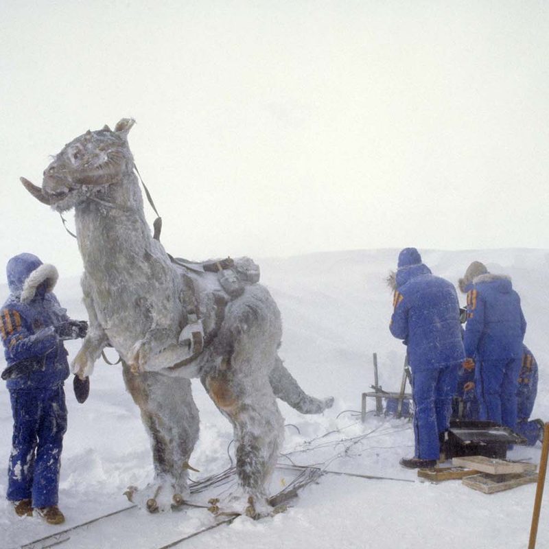 Columbia Star Wars Empire Crew Parka Set Photo - Tauntaun with Crew