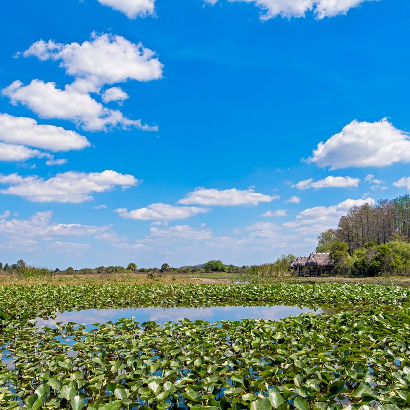 Everglades National Park, Florida